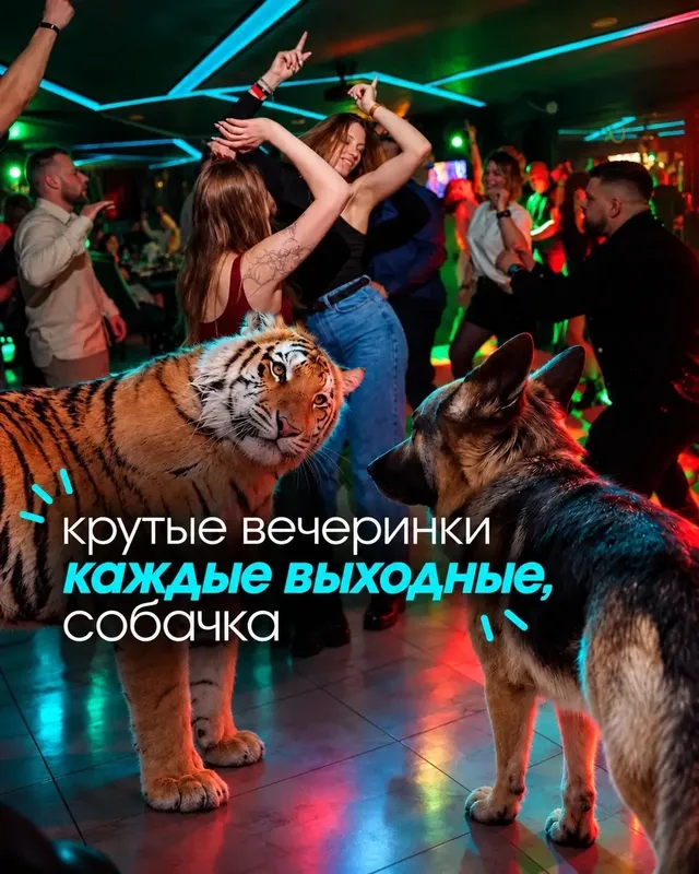 Знакомство с XO Complex: меню, вечеринки и банкетный зал в иллюстрациях — изображение 3