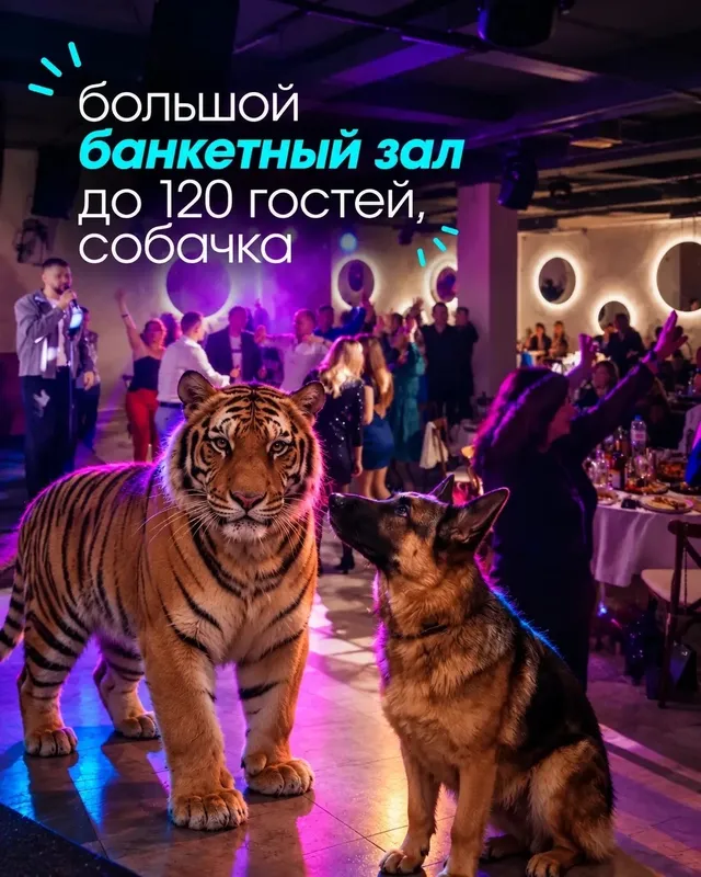 Знакомство с XO Complex: меню, вечеринки и банкетный зал в иллюстрациях — изображение 4
