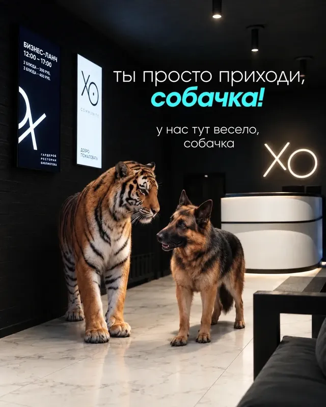 Знакомство с XO Complex: меню, вечеринки и банкетный зал в иллюстрациях — изображение 6